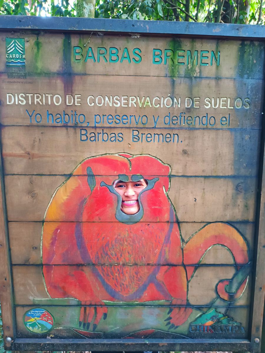 Reserva barbas bremen — Barbas Bremen — Aviturismo