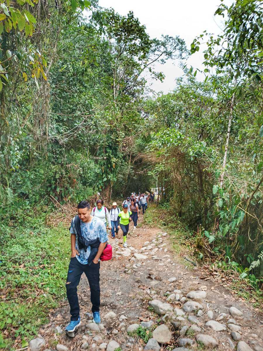 Sendero empedrado — La Pastora — PRN Ucumarí